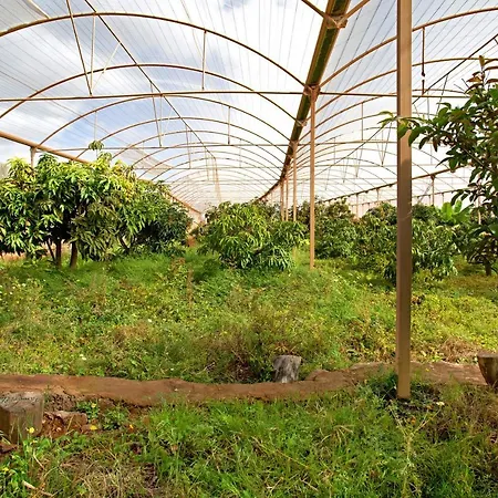 Villa Tropical Ingenio